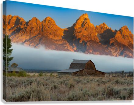 Mormon Row Canvas Print