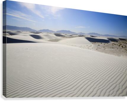 Blinding Sands Canvas Print