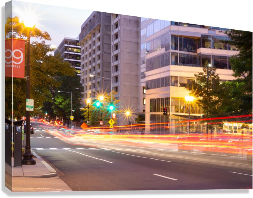 Washington DC 1 Canvas Print