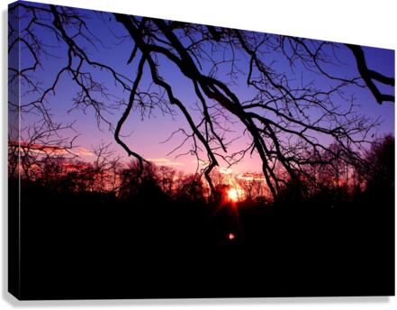 Winter Sunset Canvas Print