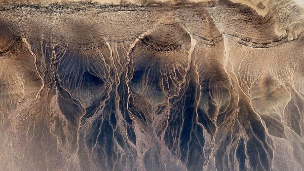 rooted Print