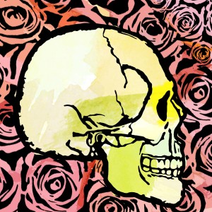 skull vector