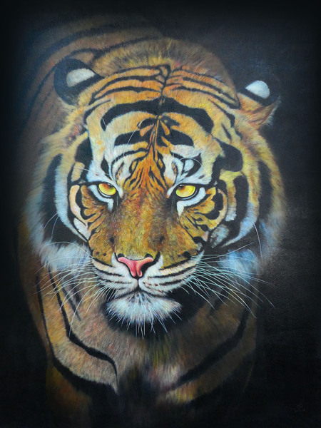 Tiger No.1 Print