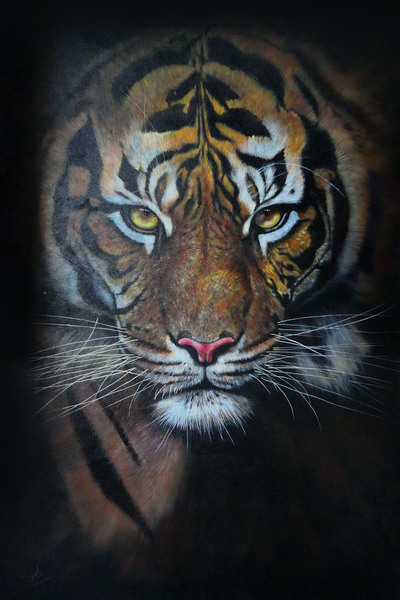 Tiger No.3 Print