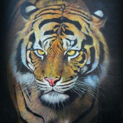 Tiger No.1