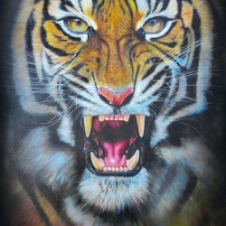 Tiger No.2