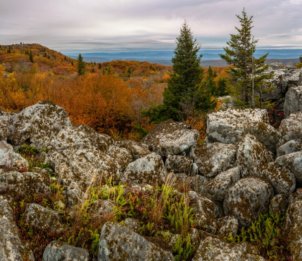 Bear Rocks Overlook apmi 1789 by Artistic Photography