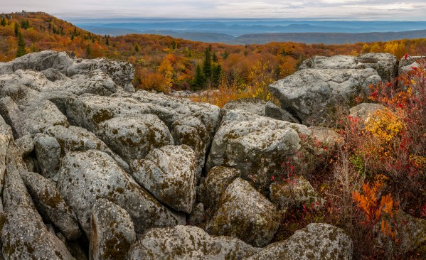 Bear Rocks Overlook apmi 1793 by Artistic Photography