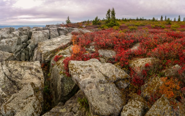 Bear Rocks Preserve apmi 1790 by Artistic Photography