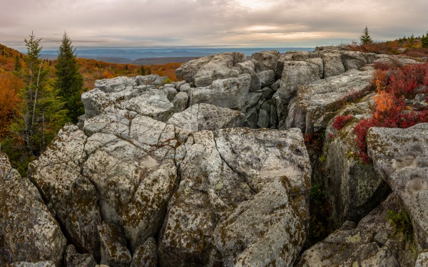 Bear Rocks Preserve apmi 1791 by Artistic Photography
