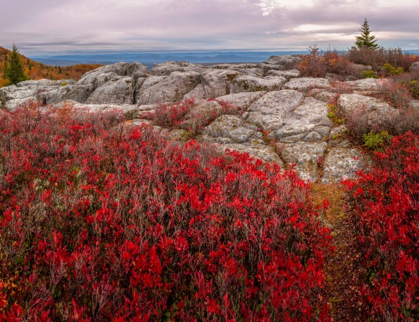 Bear Rocks Preserve apmi 1792 by Artistic Photography