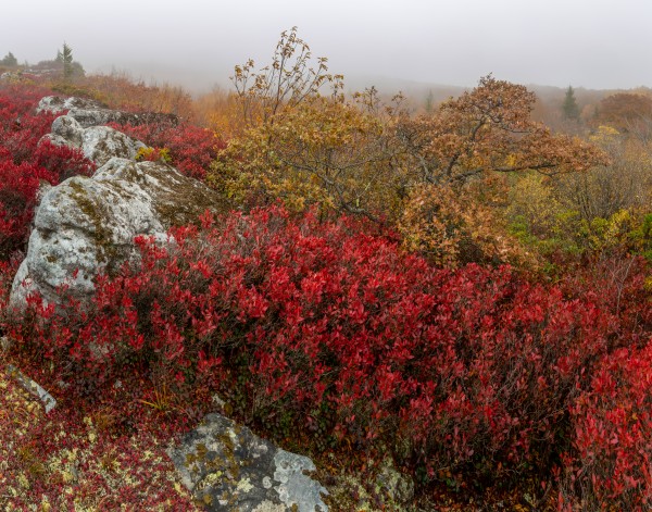 Bear Rocks Preserve apmi 1815 by Artistic Photography