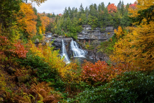 Blackwater Falls apmi 1904 by Artistic Photography