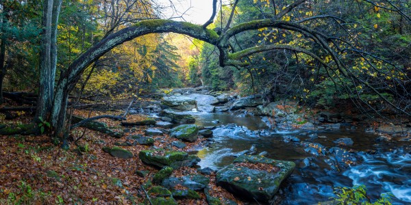 Buttermilk Falls apmi 1978 by Artistic Photography