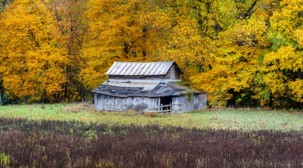 Classic Barn apmi 1888 by Artistic Photography