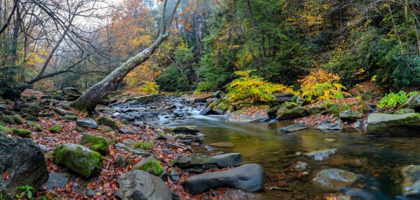 Cowanshannock Creek apmi 1962 by Artistic Photography