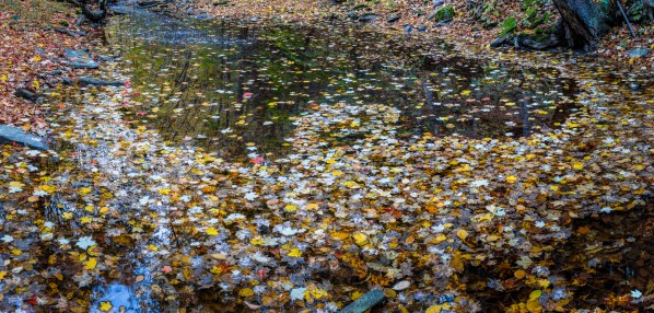 Reflecting Pool apmi 1916 by Artistic Photography