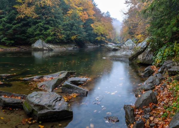 Slippery Rock Creek apmi 1924 by Artistic Photography