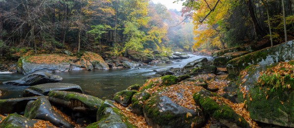Slippery Rock Creek apmi 1929 by Artistic Photography