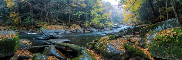 Slippery Rock Creek apmi 1931 by Artistic Photography