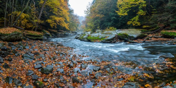 Slippery Rock Creek apmi 1938 by Artistic Photography