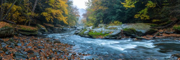 Slippery Rock Creek apmi 1941 by Artistic Photography