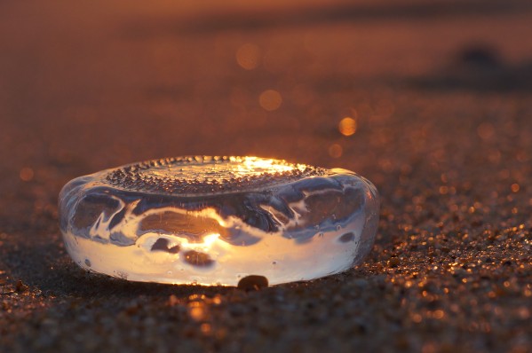 Jelly life Print
