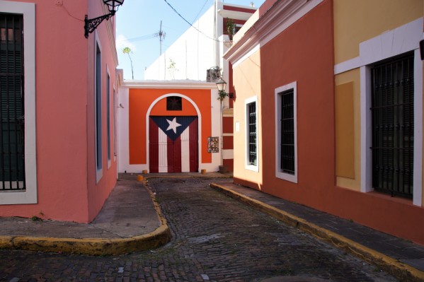 San Juan flag painting  by Shell Photography