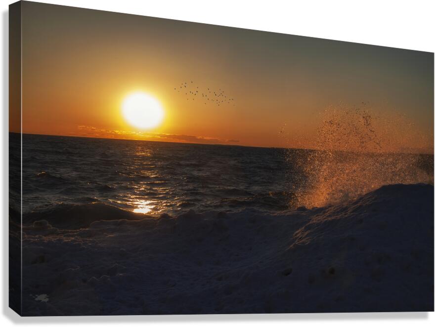 splash 2 Canvas Print