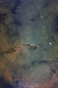 The elephants trunk nebula 
