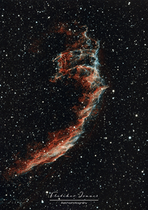 The eastern veil nebula 