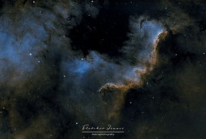 THE Cygnus Wall of the North American nebula 