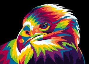 Falcon Bird of Prey