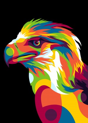 Philippine Eagle Illustration
