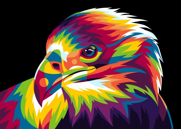 Falcon Bird of Prey by wpaprint