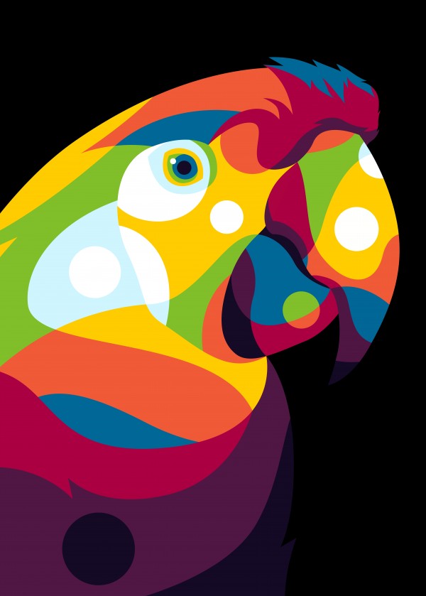 Parrot Bird in Colorful Pop Art by wpaprint