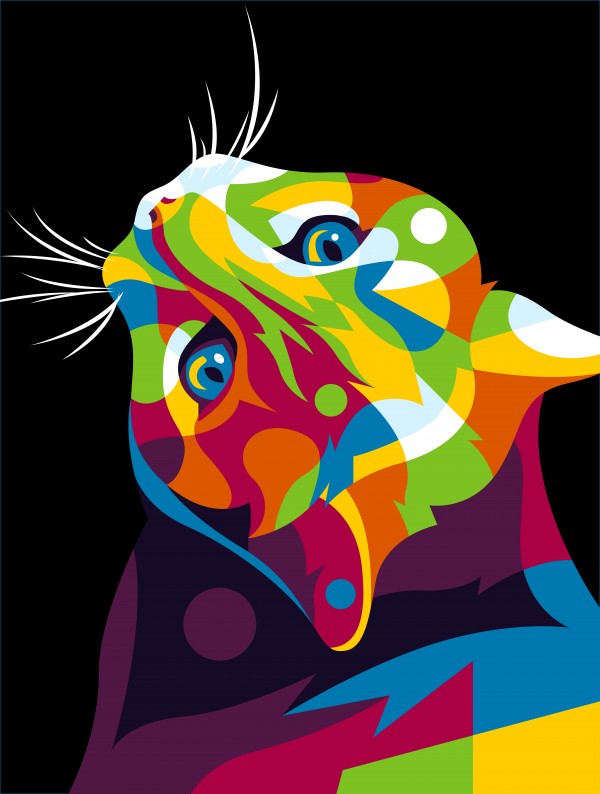 Colorful Cat Stare by wpaprint