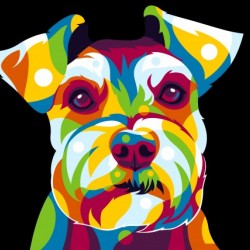Shih Tzu Dog Portrait