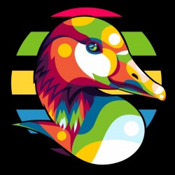 Colorful Duck