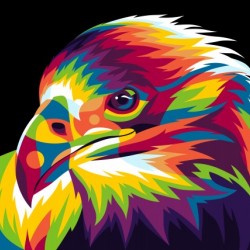 Falcon Bird of Prey