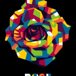 The Colorful Rose Flower