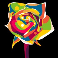 Colorful Rose Flower