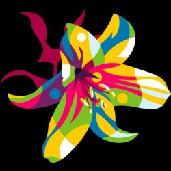 Lily Flower