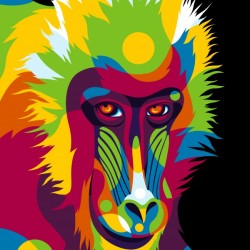 Baboon Head Pop Art Portrait