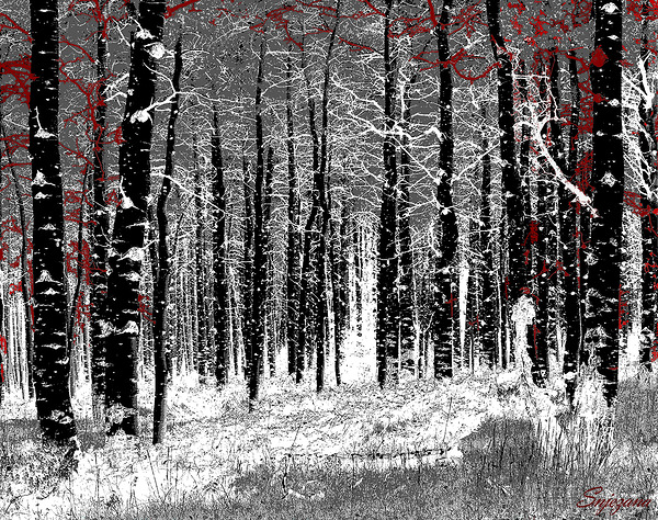 Winter s silence kiss by Snjezana