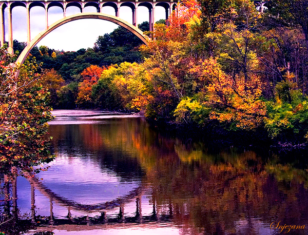 FALLing in Love by Snjezana