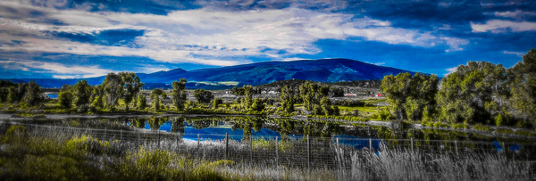 Silent Mornings  by Snjezana