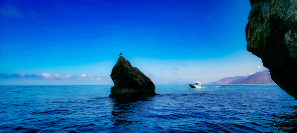 The Guardian by Snjezana