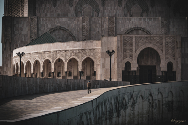 The Walk  by Snjezana