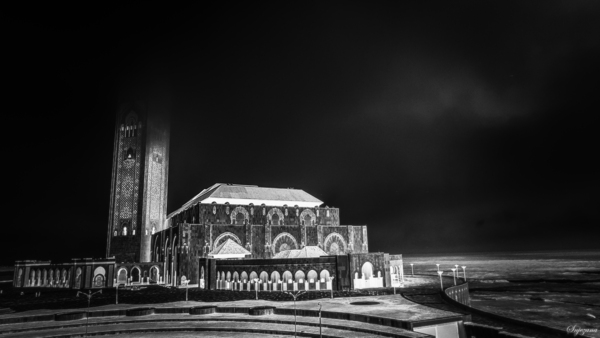 Nights Fog by Snjezana